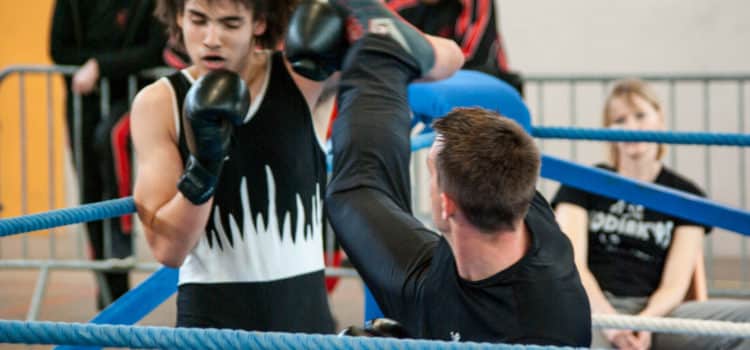 Programme des compétitions de boxe française 2017