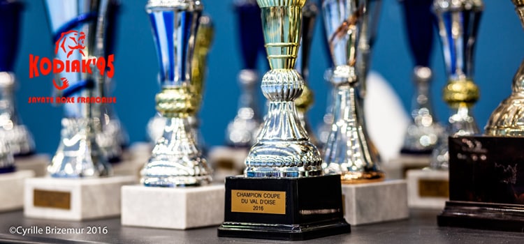 Une coupe 2016 du Val d’Oise de boxe française de tous les records