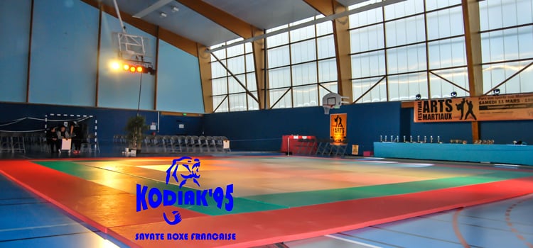 La boxe française enfants en démonstration au festival des arts martiaux 2017 de Jouy Le Moutier (95)